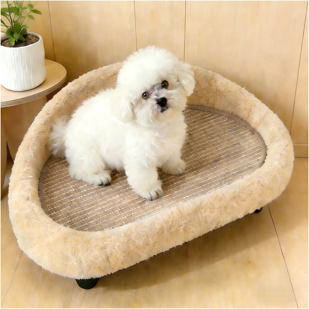 FAFA Four Seasons Series Off the ground dog bed four season universal dog bed sofa cat bed sleeping small dog marching bed image 2
